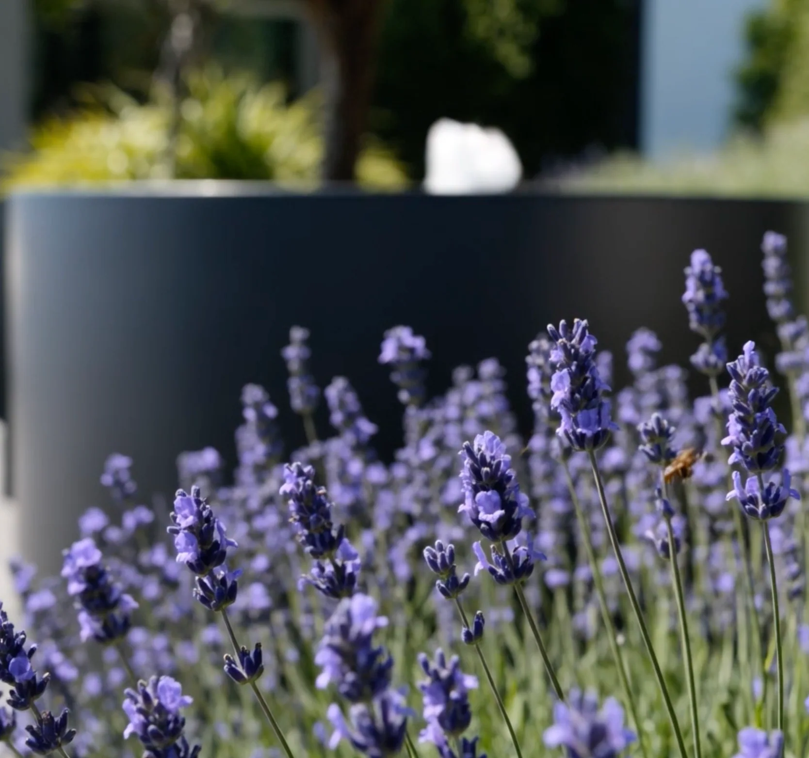 Elio Aluminium - environnement
