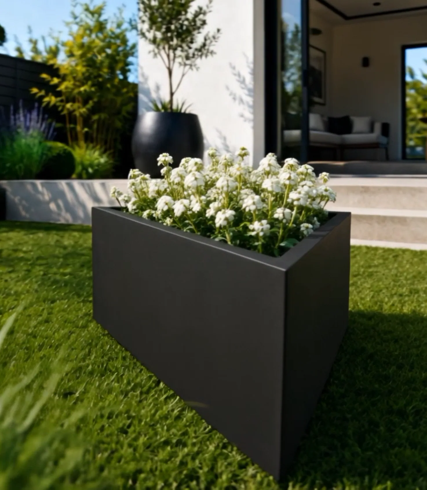 Iris - environnement